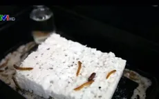 Phát hiện sâu có khả năng... ăn nhựa
