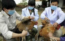 Cúm A/H5N6 bùng phát tại nhiều địa phương