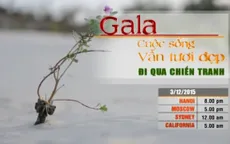 Gala 'Cuộc sống vẫn tươi đẹp: Đi qua chiến tranh' lên sóng VTV4