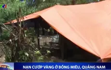Bùng phát nạn cướp vàng ở Bồng Miêu, Quảng Nam