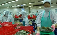 Trung Quốc gỡ bỏ lệnh tạm dừng nhập khẩu tôm sú Việt Nam