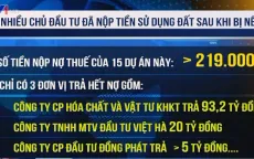 Nhiều chủ đầu tư đã nộp tiền sử dụng đất sau khi bị nêu tên