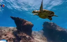 Khám phá đại dương với Google Street View