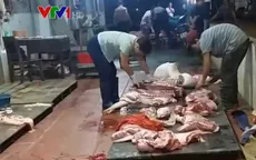 Kiểm dịch thú y: Không kiểm dịch vẫn đóng dấu thông hành