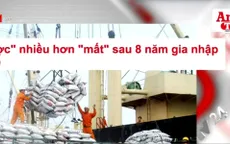 Điểm báo 21/9: Việt Nam gia nhập WTO, “được” nhiều hơn “mất”
