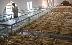 LHQ tưởng nhớ các nạn nhân của nạn diệt chủng ở Rwanda