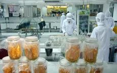 Việt Nam sản xuất thành công đông trùng hạ thảo