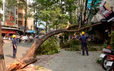 TP.HCM: Cây cổ thụ gãy cành, đè bị thương 2 người