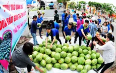 Thực hư việc tỉnh đoàn Quảng Ngãi “ăn chênh” tiền bán dưa hấu của người dân