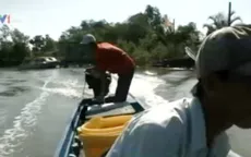 Truyền hình Đức đưa tin ca ngợi nông dân Việt Nam
