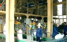 Đường tồn kho giảm mạnh