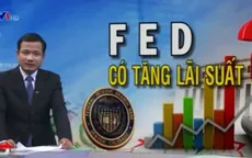 "Khả năng FED tăng lãi suất là 50/50"