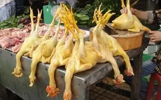 Cách nhận biết gà có nhuộm hóa chất hay không