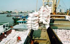 Xuất khẩu gạo cả năm ước đạt 6,8 triệu tấn