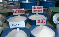 'Thông tin gạo làm bằng nhựa không có căn cứ'