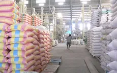 Xuất khẩu gạo quý I ở mức thấp nhất từ năm 2009