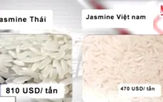 Vì sao gạo Việt lép vế trên thị trường quốc tế?