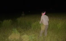 Trốn nắng, nông dân ra đồng làm việc từ nửa đêm