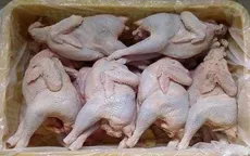 TP.HCM: Phát hiện, tiêu hủy hơn 1 tấn gia cầm nhập lậu