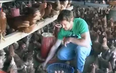 Cúm gia cầm bùng phát mạnh tại Mỹ