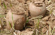 Phát hiện hàng trăm cổ vật tại Thành nhà Hồ