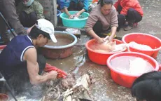 Hà Nội: Kiểm tra kinh doanh, giết mổ gia súc, gia cầm cận Tết