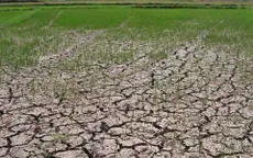 Bộ NN&PTNT ban hành Chỉ thị ứng phó với El Nino