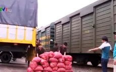 Hành tím Sóc Trăng đã lên tàu ra Bắc