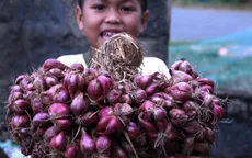 Thông tin người dân bị mù do hóa chất bảo quản hành tím là sai