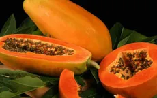 Tác dụng của hạt đu đủ