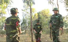 Bố ơi!Mình đi đâu thế?: Trần Bờm ngày càng "quyền lực"