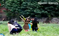 Du khách ý thức kém, những cánh đồng hoa ở Hà Nội ‘tan nát’