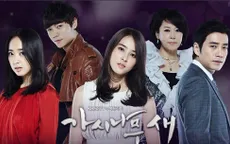 Phim hay trên VTVcab 4 - Kênh 17: Cánh chim cô đơn