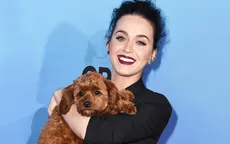 Katy Perry phải đổi số điện thoại vì…cún cưng
