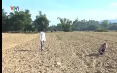 Người dân vùng cao Hà Tĩnh khốn khổ vì nắng nóng kéo dài