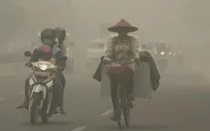 Indonesia cân nhắc ban bố tình trạng khẩn cấp vì cháy rừng