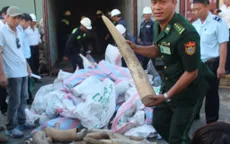 Khởi tố vụ buôn lậu hơn 2 tấn ngà voi qua cảng Tiên Sa