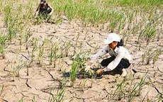 Việt Nam triển khai nhiều giải pháp ứng phó với biến đổi khí hậu