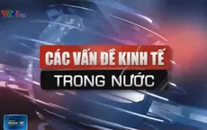 Vấn đề kinh tế trong nước đáng chú ý tuần qua (6-12/4)