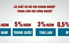 Chăn nuôi Việt Nam khó cạnh tranh vì lãi suất cao