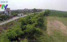 Vẻ đẹp Việt: Chặng đường tìm hiểu văn hóa truyền thống Việt Nam