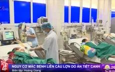 Gia tăng đột biến các ca bệnh nhiễm liên cầu lợn
