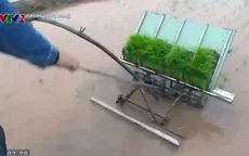 Chế tạo thành công máy cấy lúa không sử dụng động cơ