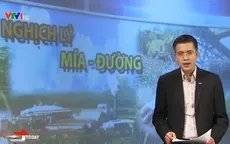 Nghịch lý ngành mía đường: Thừa đường, nông dân bỏ mía