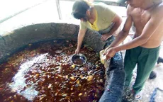Kinh hoàng với quy trình sản xuất và chế biến mỡ bẩn