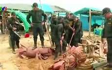 Cảnh sát Peru triệt phá 86 mỏ vàng khai thác trái phép