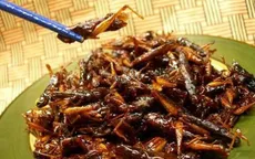 Châu chấu rang nước măng chua - Đặc sản dân dã vùng cao