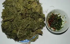 Thủy chung rêu đá rừng sâu