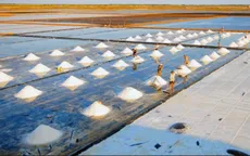 Năm 2015, cả nước sẽ thiếu khoảng 300.000 tấn muối