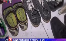 Hà Nội: Cư dân Tứ Liên khốn khổ vì muỗi